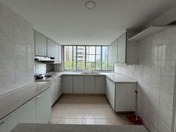 Pandan Valley (D21), Condominium #623125781